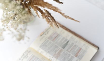 The Revelation of Christ